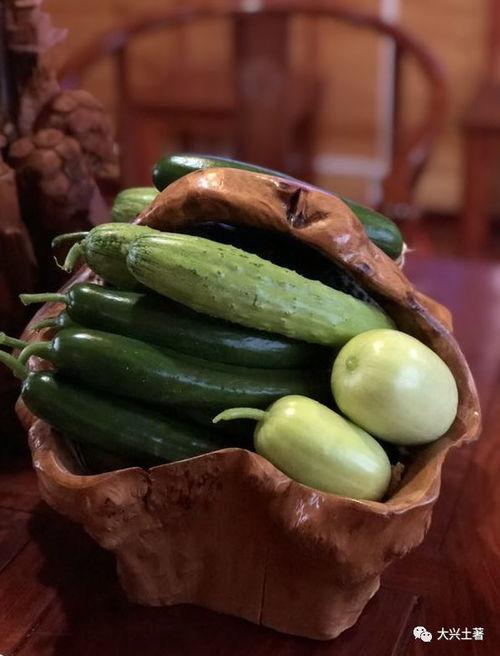 鹤山网红黄喂喂吃瓜,揭秘吃瓜背后的故事与魅力